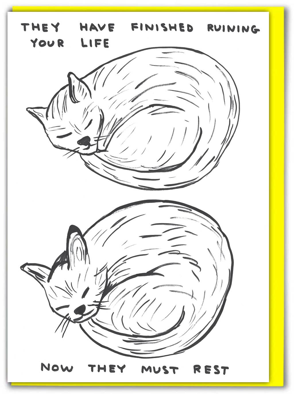 Lustige Grußkarte mit David Shrigley-Aufschrift „Ruining Your Life“