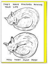 Lustige Grußkarte mit David Shrigley-Aufschrift „Ruining Your Life“