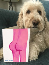 Lustige David Shrigley Grußkarte mit Aufschrift Look At This Bum