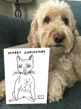 David Shrigley Lustige Weihnachtskarte, Katzenpenis