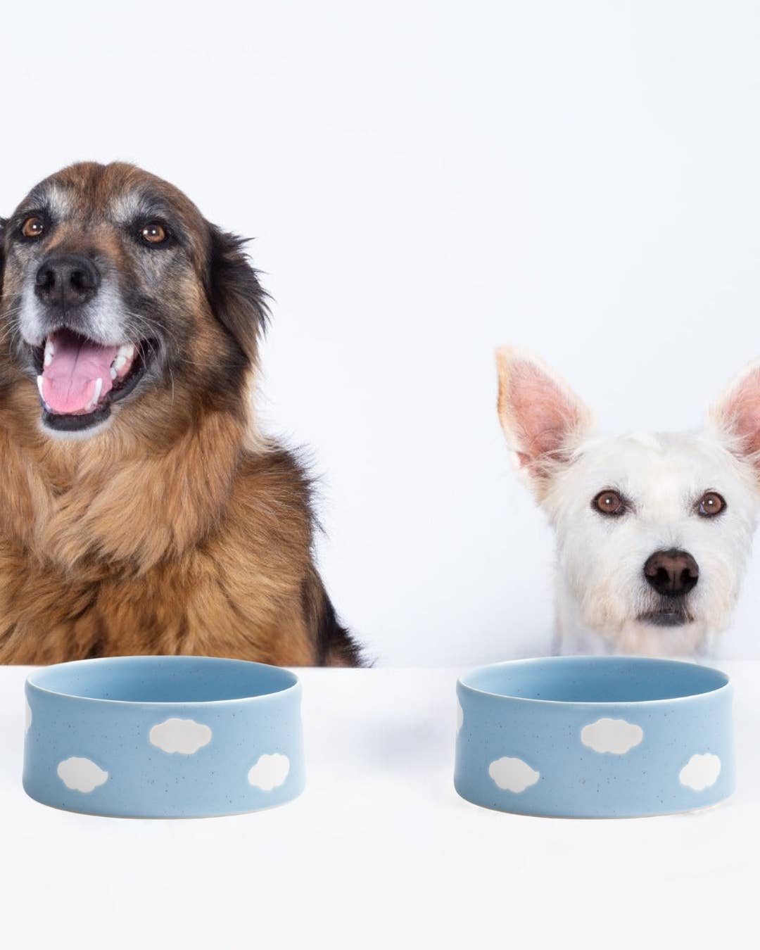Cloud Pet Bowl