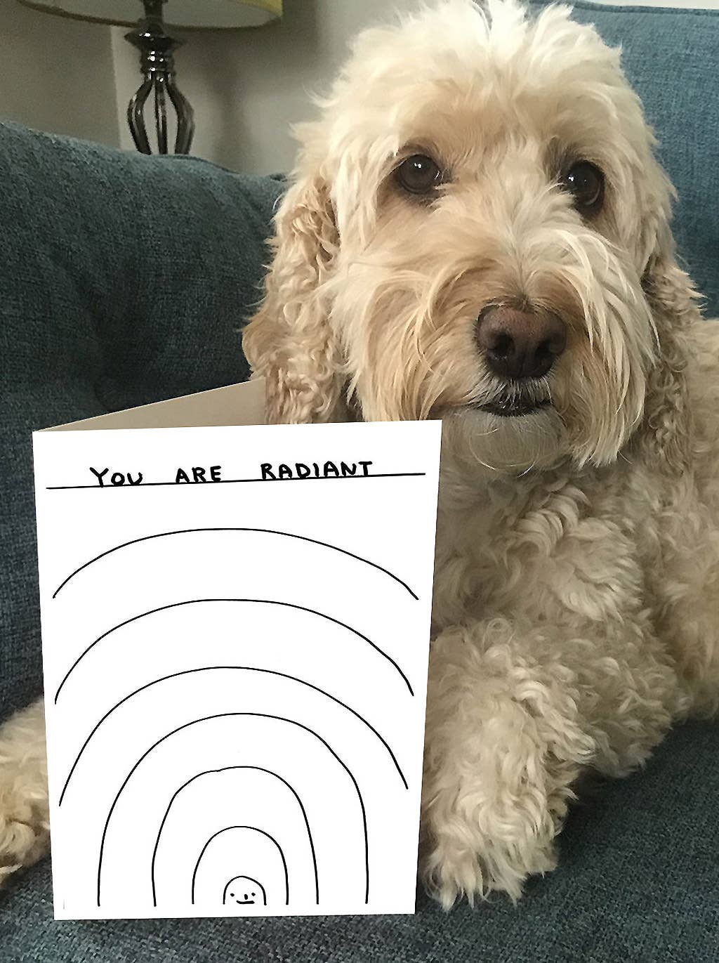 Lustige David Shrigley Grußkarte mit der Aufschrift „You Are Radiant“