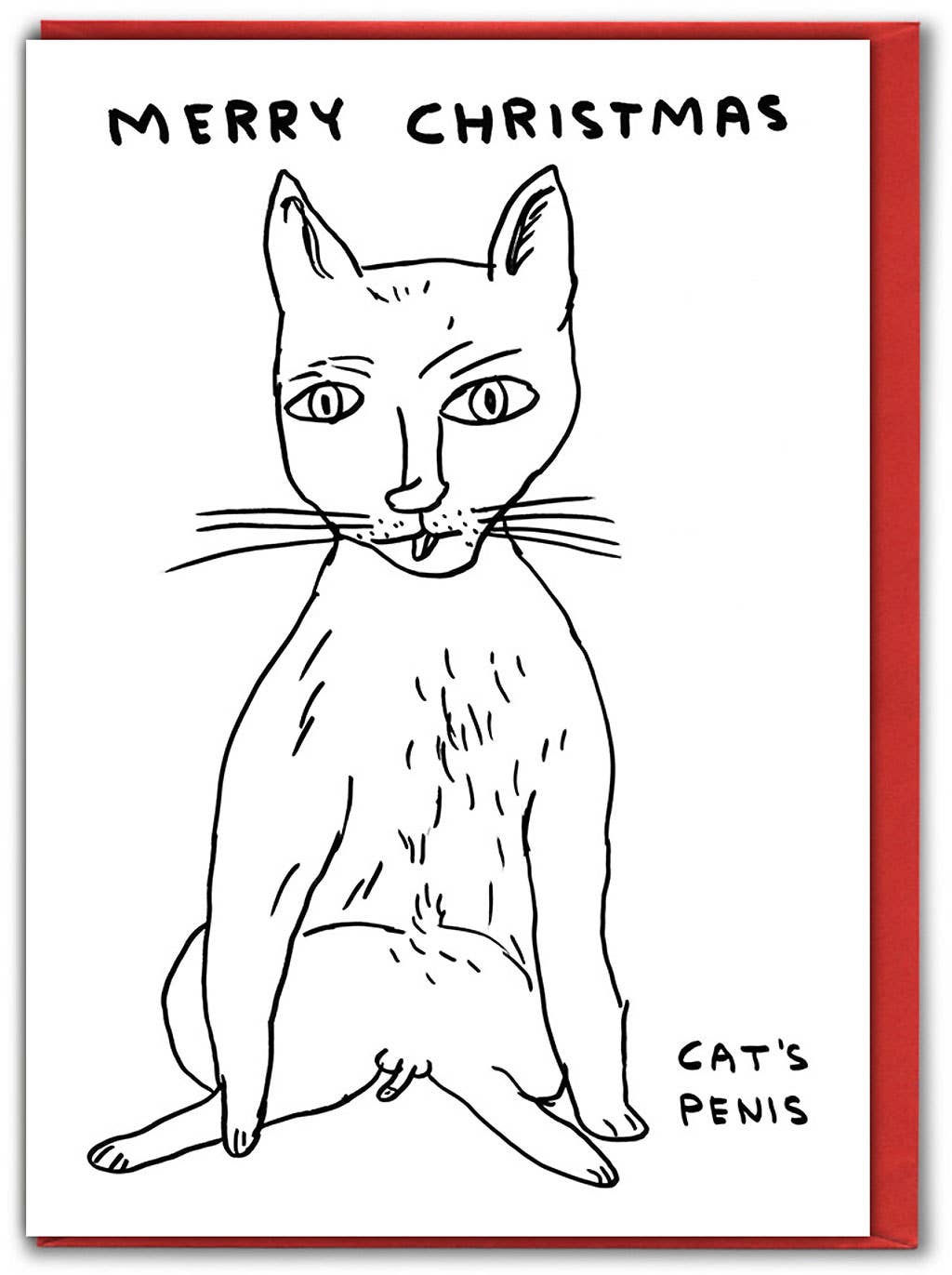 David Shrigley Lustige Weihnachtskarte, Katzenpenis