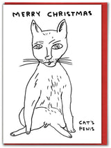 David Shrigley Lustige Weihnachtskarte, Katzenpenis