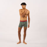 Organic cotton boxer brief - Camp aventure