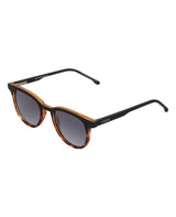 Francis Jr Matte Black Tortoise
