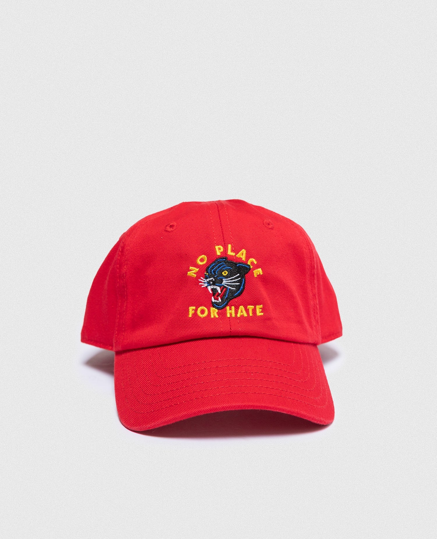 No Place For Hate Kids Cap