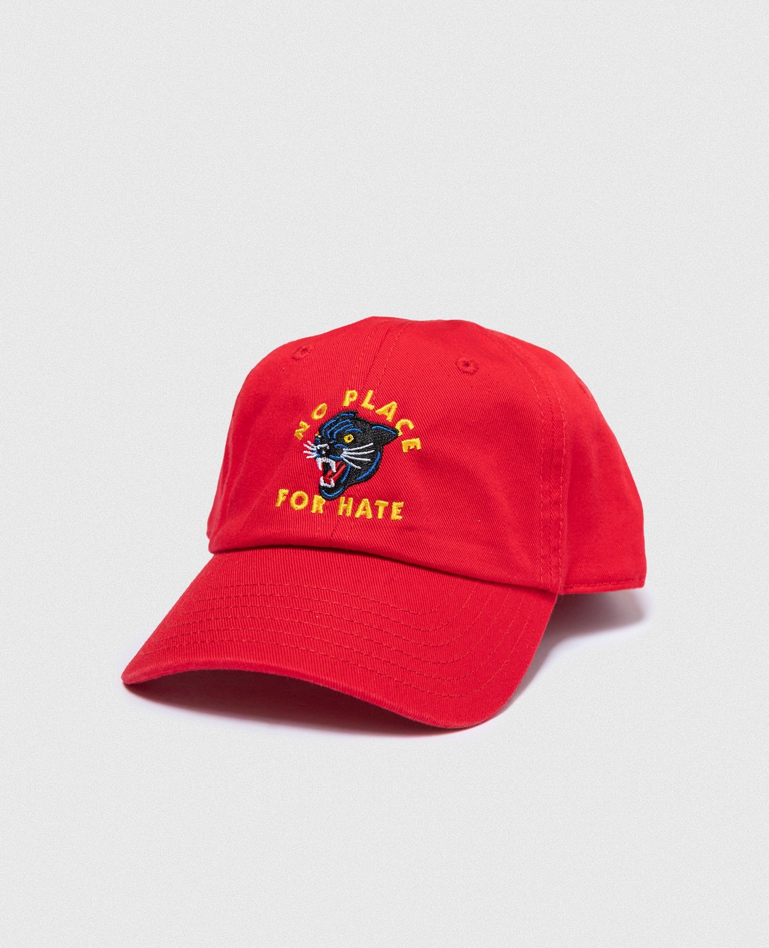 No Place For Hate Kids Cap