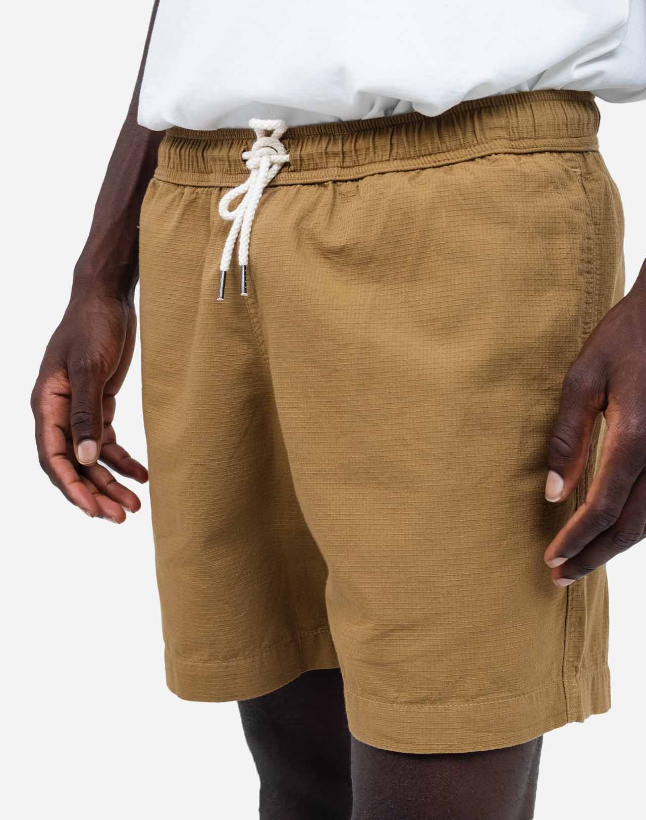 Short Bodhi Terre
