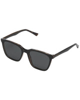 Jay Black Tortoise